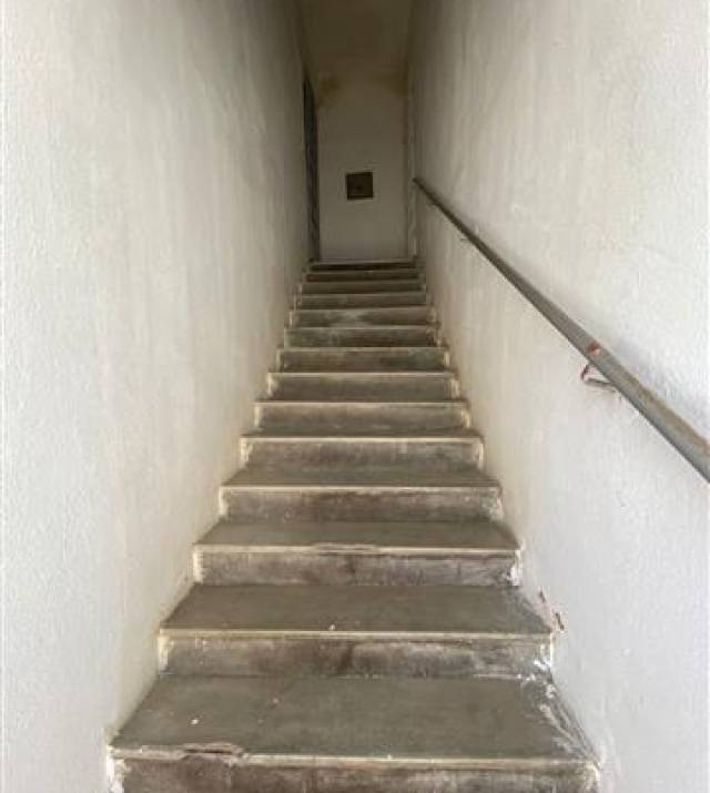 WhatsApp Image 2026-03-12 at 17.32.00.jpeg